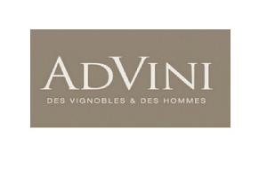 logo_advini